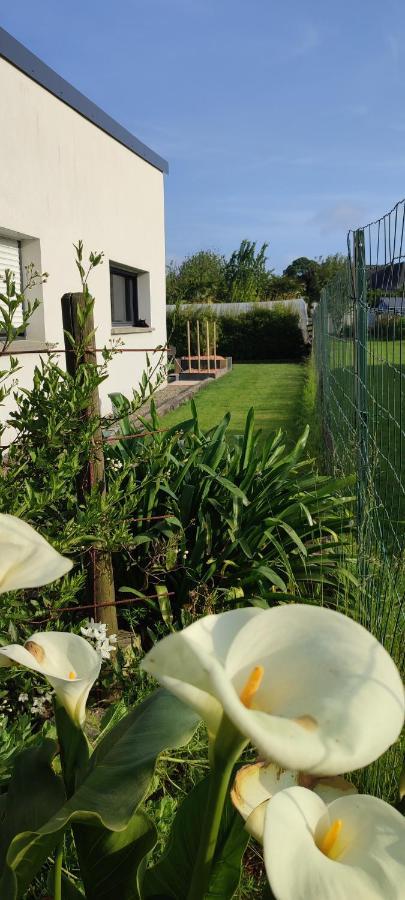 Maison Recente Avec Jardin. Plourhan Zewnętrze zdjęcie